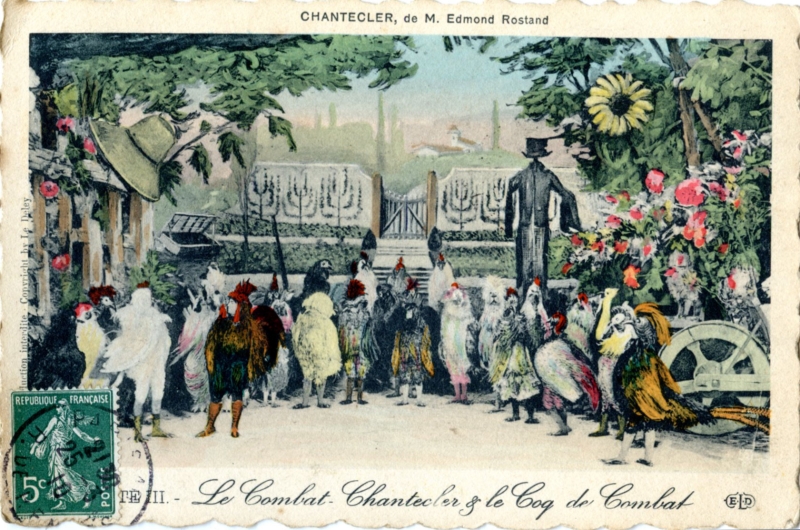 série Chantecler8