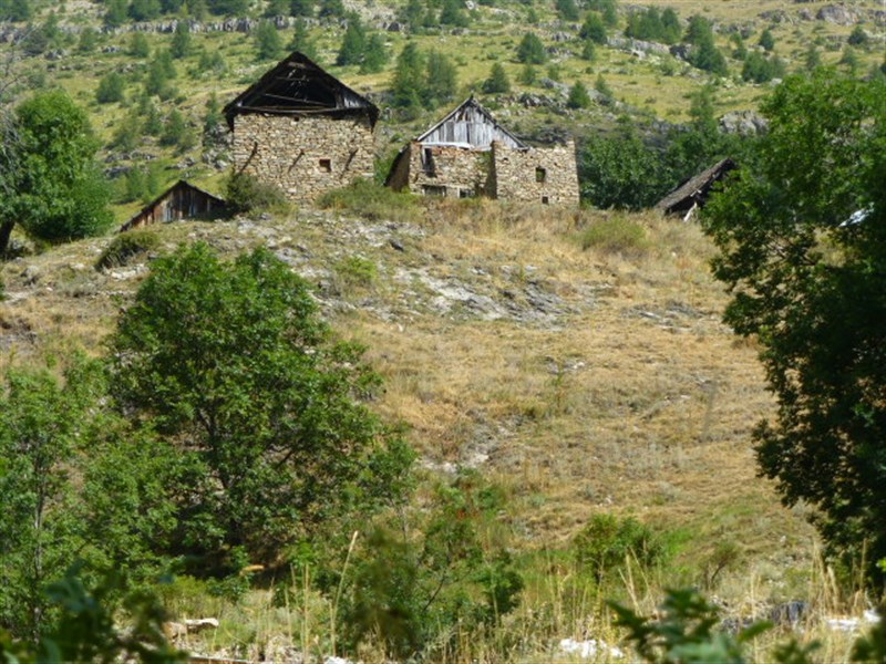 P1020645