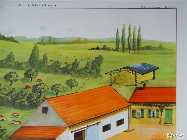 Affiche-FERME-ELEVAGE-Laiterie-9-muluBrok