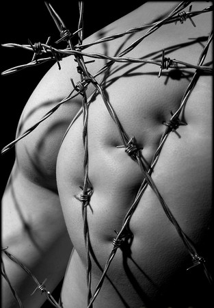 Barbed_by_quietchildae
