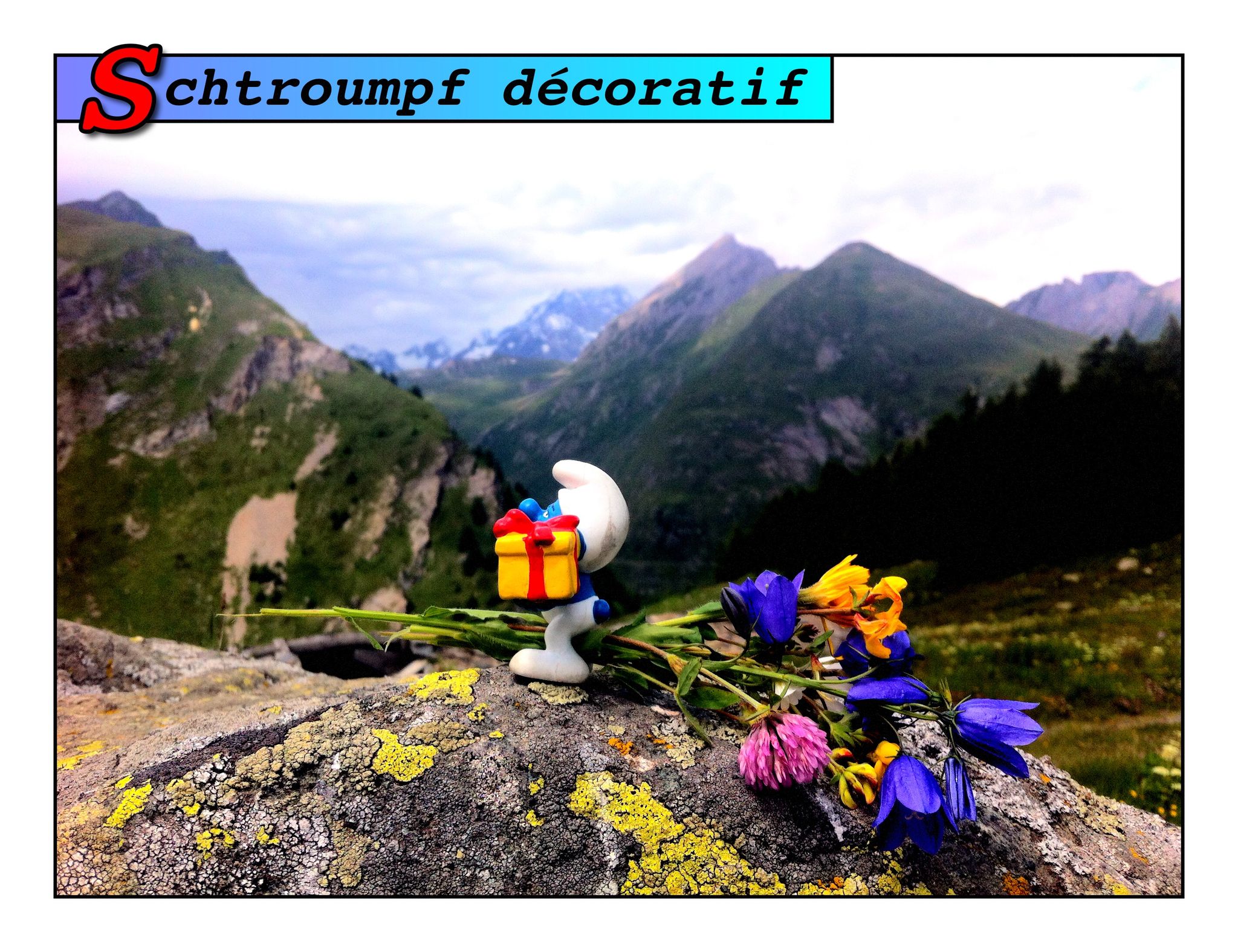 Oooooh des fleurs dans l'cul !