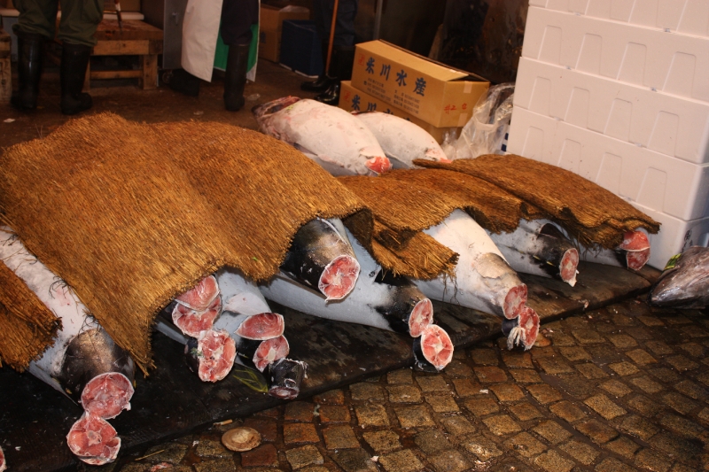 Marché aux poissons de Tsukiji