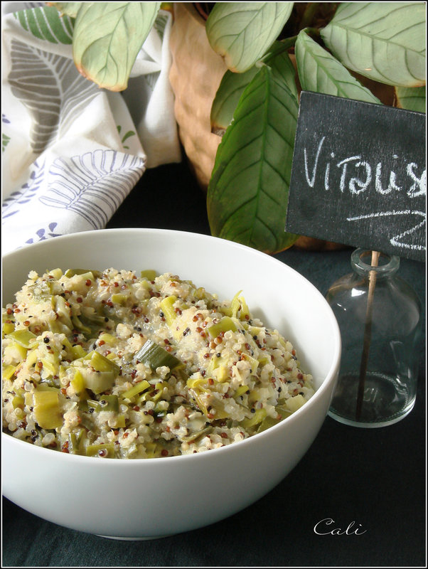 Quinoa au Vert de Poireau & Lait de Coco au Vitaliseur 002