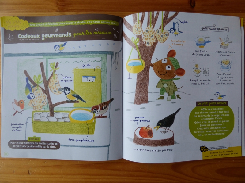 Petite Salamandre 15 (3)