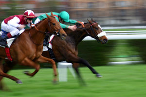 course_chevaux