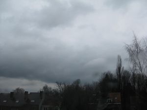 gris