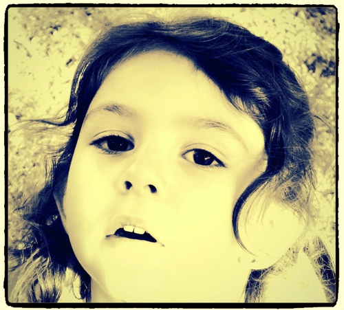 dscf6799lkvc