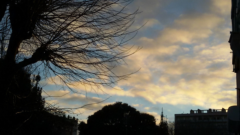 20190206_174908
