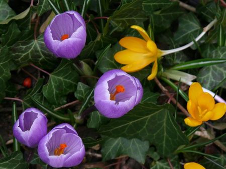 jardin01