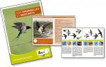 brochure Aves