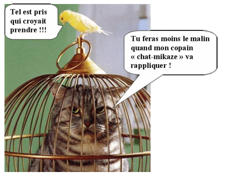 chat_1