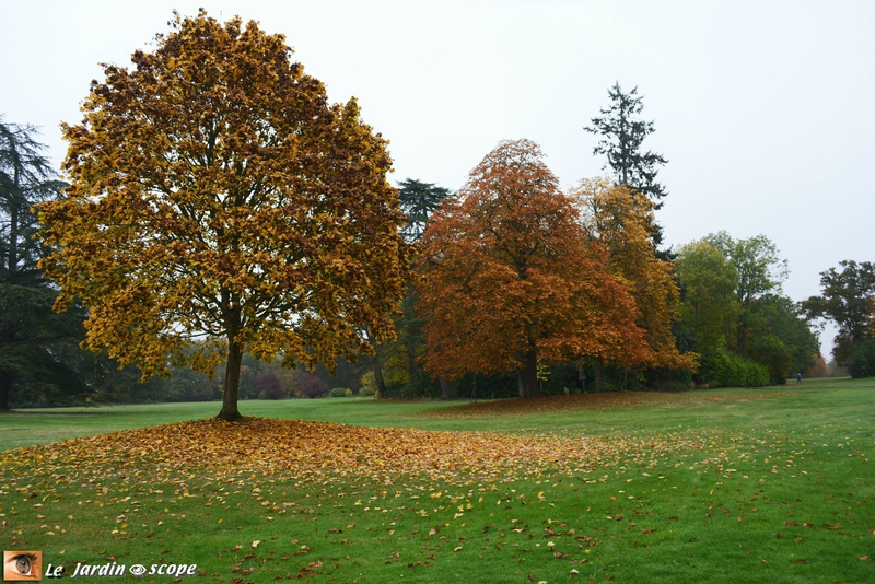 Parc
