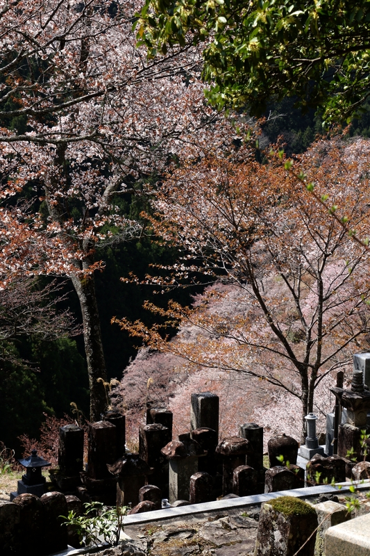 4W7A7432cor