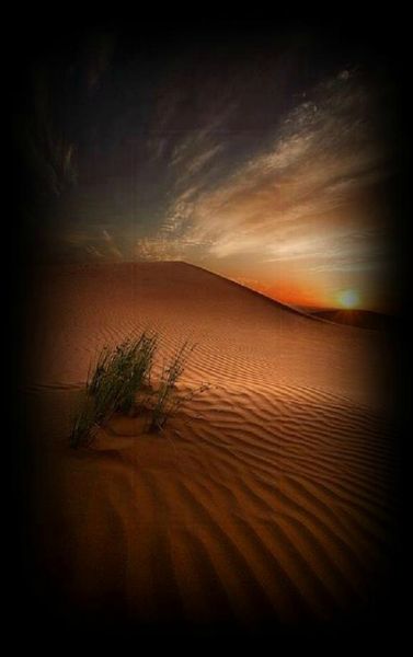 DESERT
