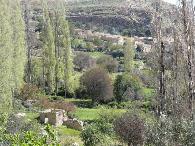 P1000654
