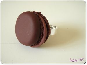 Macaron_au_ChocolatP5190079