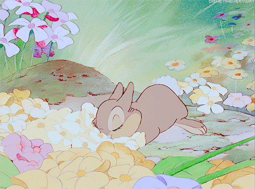 174959-Cute-Bunny-In-Spring-Flowers