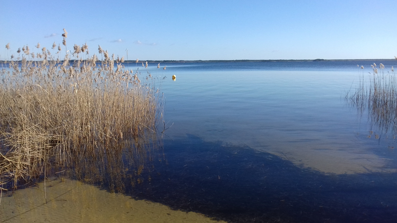 20190203_154513