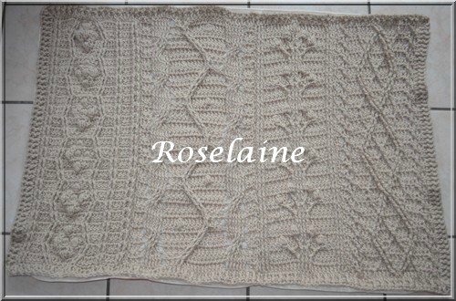 Roselaine057 Cal Aran couverture