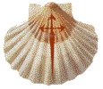 coquille