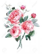 43009817-millésime-classique-carte-de-voeux-floral-aquarelle-bouquet-de-roses-anglaises-belle-illustration-d-39