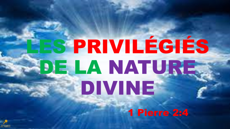 LES PRIVILÉGIÉS DE LA NATURE DIVINE