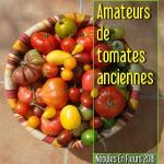 NEF 2016 - Amateurs de tomates anciennes