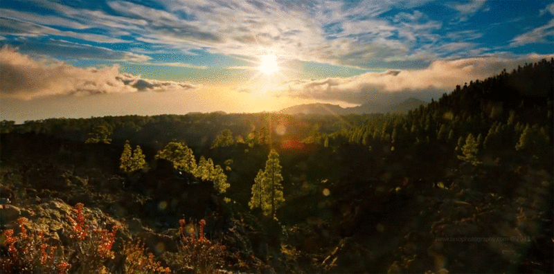 sun