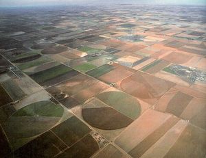 agriculture_texas