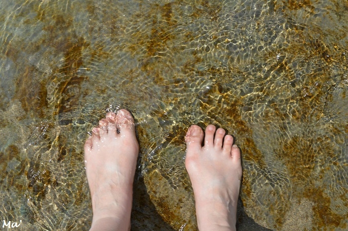 170424_peids_dans_ardeche