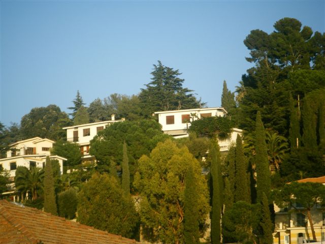 foto varie 391