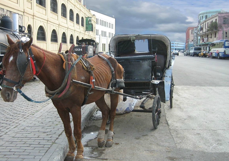 Havana_Central_train_station