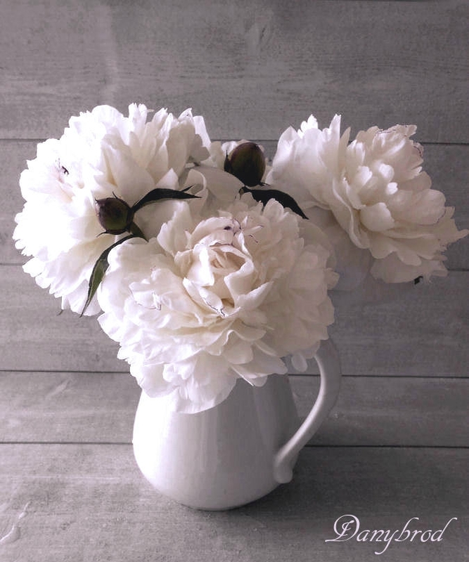 pivoines