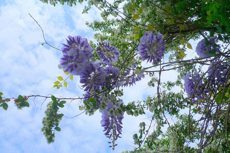 019