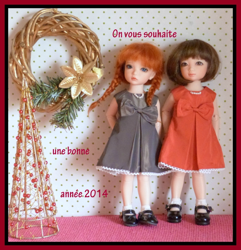 Copie de P1130406