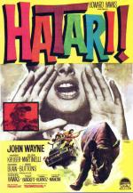 hatari