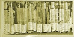 Registre Février 1791