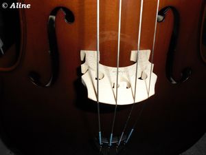 SAM_0015
