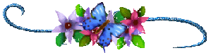 Gif barre scintillante et animée papillons et fleurs colorées 300 pixels