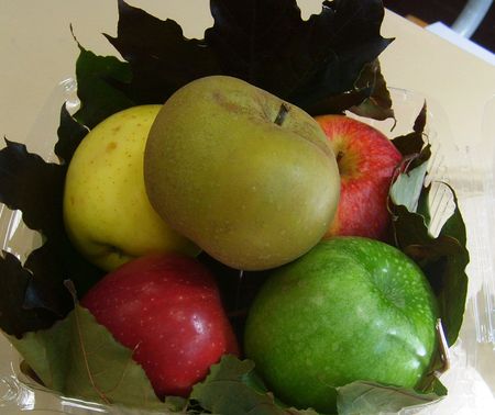 Fruits_d_automne__24__3