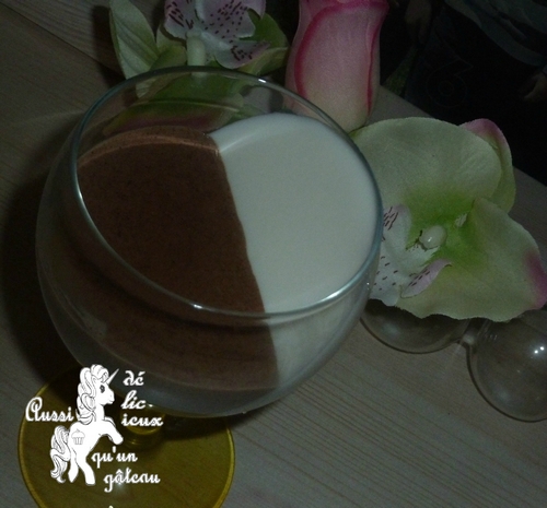Panna cotta choco coco 10