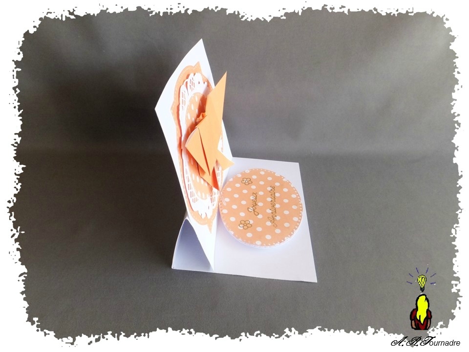ART 2016 12 set papillon orange 4
