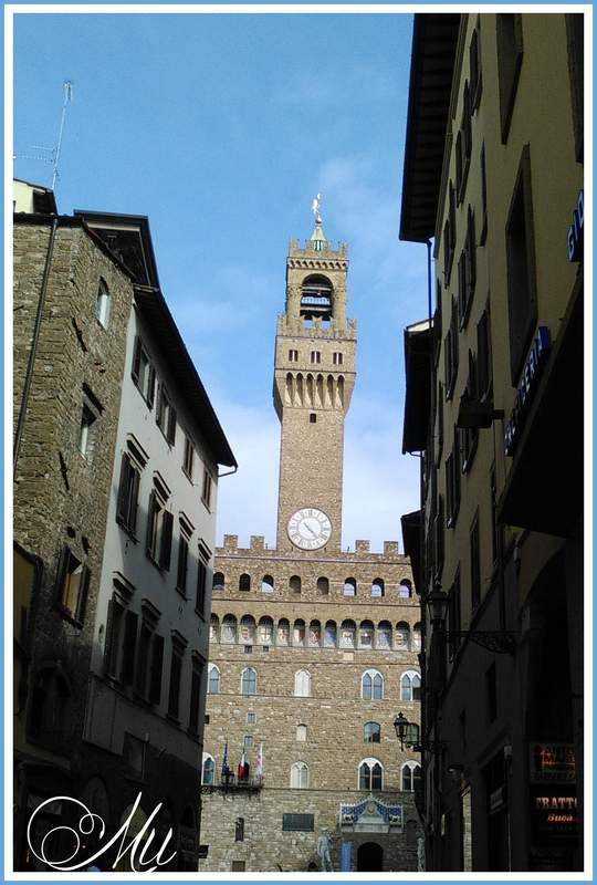 palazzo vecchio (15)