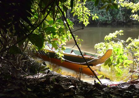 Fleuve Kourou