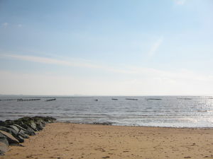 Moules_au_bleu_et_piment_de_la_p_che___pieds___l_Aiguillon_mer_001