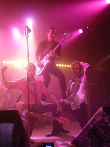 2008_05_The_Fleshtones_202