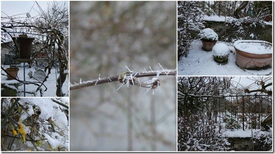 jardin 19 janvier 20244
