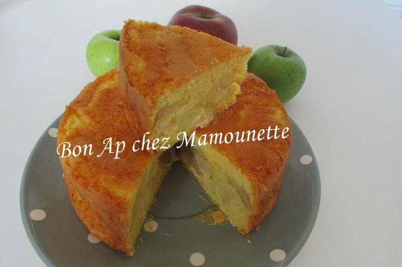 Pommes cueillette sept 2015 et gâteau aux pommes du verger 041