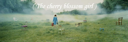 cherryblossom