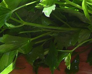 Folle de fanes recettes entrees Petite assiette de légumes en folie: soupe de fanes de radis, salade de carottes aux noisettes, taboulé de choux fleur, courgettes et poivrons grillés